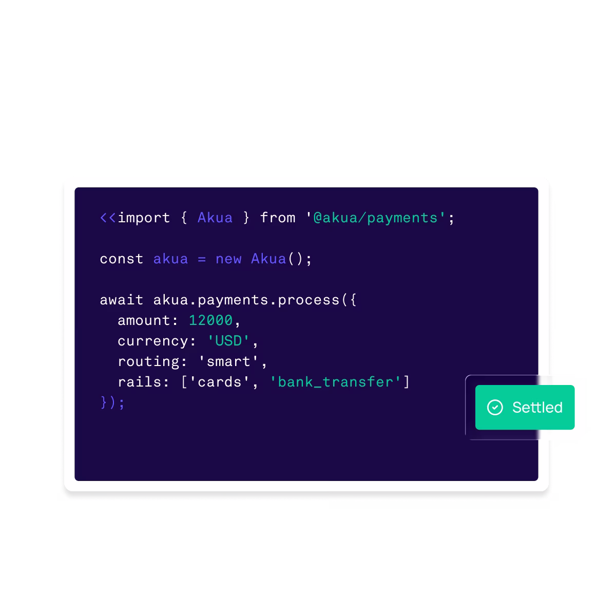 Akua infrastructure for PSPs and payment service providers